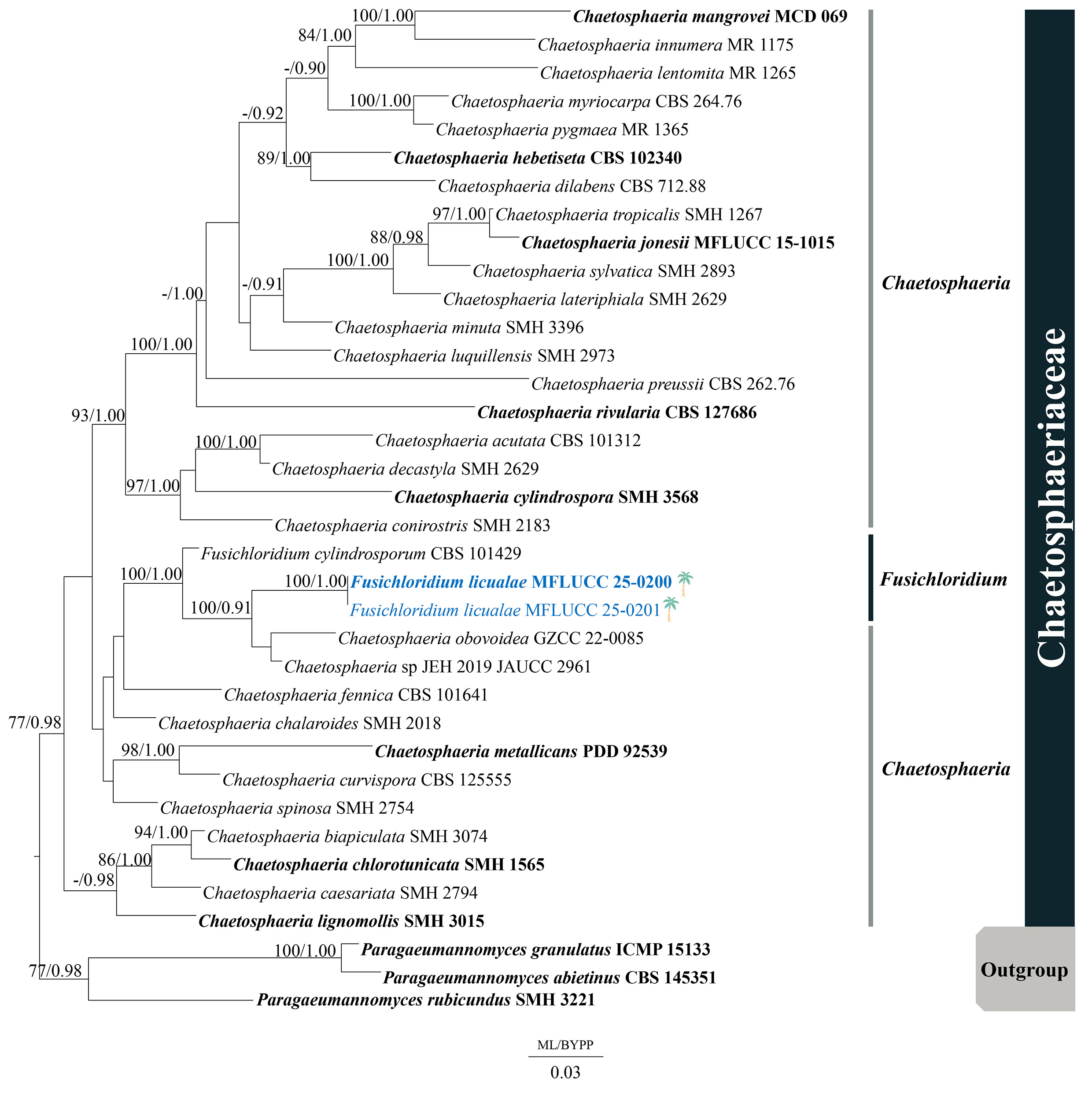 Figure 69